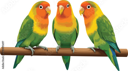 Three colorful lovebirds sitting on branch, tropical exotic parrots illustration, cute green orange yellow pet birds vector art design