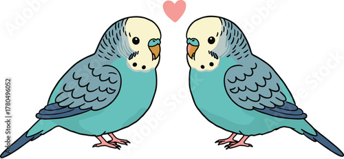 Cute blue parakeet couple illustration, romantic budgie birds with heart, adorable vector love birds drawing for Valentine’s Day design