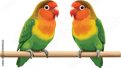Beautiful green and orange lovebirds perched together on branch, colorful tropical parrot couple illustration for romantic nature artwork