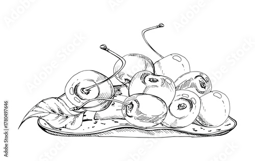 Sour sweet line cherry berries on ceramic plate, hand drawn vector ink, ripe cerise with leaves, stems. Isolated composition illustration. For restaurant, cafe dessert menu, wedding, farmers market