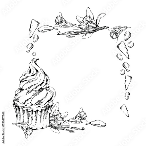 Vanilla blossom with seed pods, chocolate and cream mousse swirl on muffin cupcake, cocoa bean dragees. Hand drawn in vector ink, isolated corner illustration. Culinary frame, bistro menu, food card.