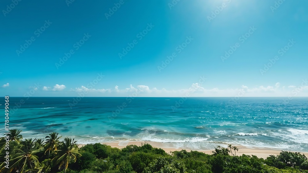 Fototapeta premium tropical beach with blue sky