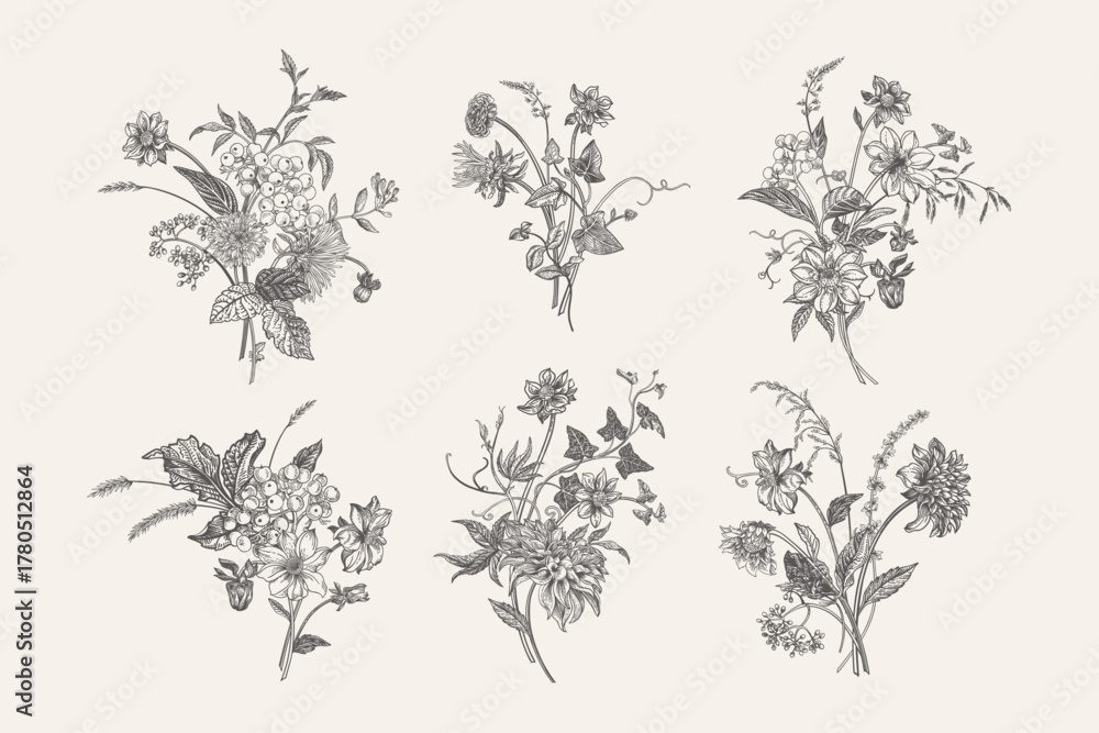 Obraz premium Set of six vintage botanical illustrations. Bouquets with ears of flowers, asters, chrysanthemums, dahlias and berries. Detailed floral compositions in engraving style. Black and white.