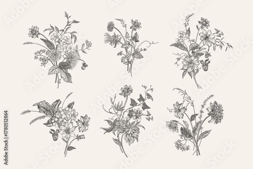 Set of six vintage botanical illustrations. Bouquets with ears of flowers, asters, chrysanthemums, dahlias and berries. Detailed floral compositions in engraving style. Black and white.