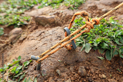 Fototapeta Selective focus Tent peg or anchor