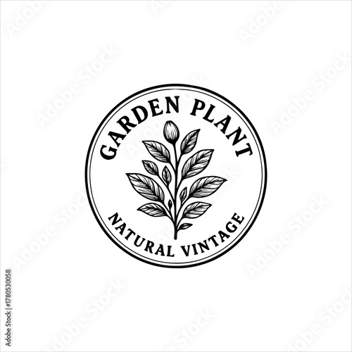Beautiful Vintage Botanical Illustration of a Growing Plant in a Circle Emblem Representing Nature and Natural Products