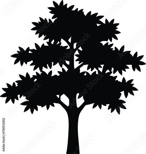 Silhouette vector deciduous tree with broad leaves isolated Illustrator