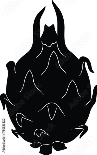 Silhouette vector dragon fruit exotic tropical healthy food Illustrator