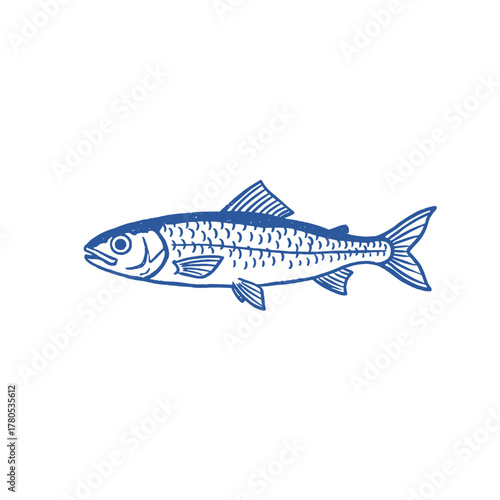 Vintage Sardine Fish Art. Hand Drawn Seafood Graphic. Retro Fishing Stamp Logo. Blue Linocut Style Fish. Simple Marine Life Sketch