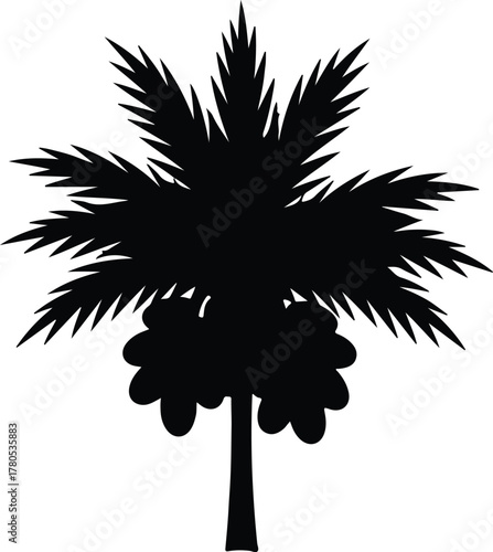 Silhouette vector of a palm tree with fruits Illustrator