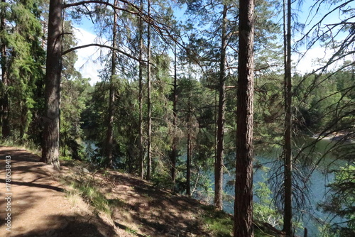 Beautiful trail through a forest along a lake in Tyresö near Stockholm in Sweden