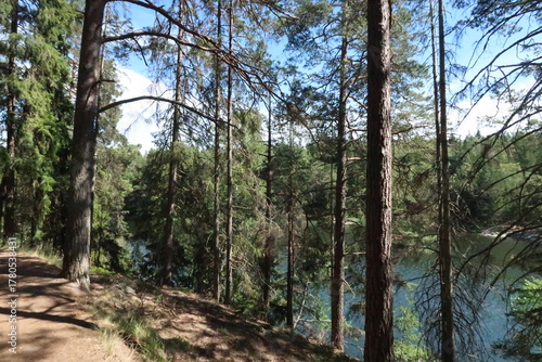 Beautiful trail through a forest along a lake in Tyresö near Stockholm in Sweden