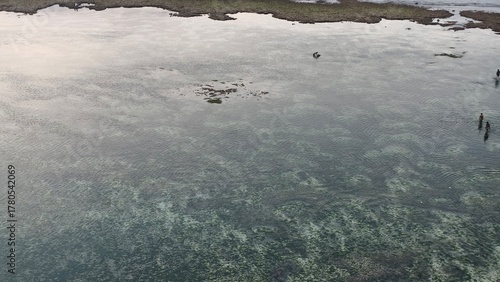Clear Coastal Shallows with Visible Seabed and Ripples