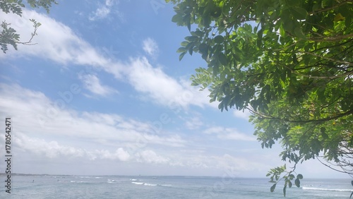Serene Ocean View Through Green Leaves