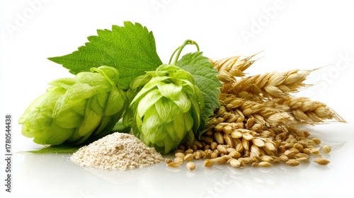Fresh hops, barley grains, malt powder and wheat stalks arranged for craft beer brewing, featuring green hop cones with distinctive leaves on white background