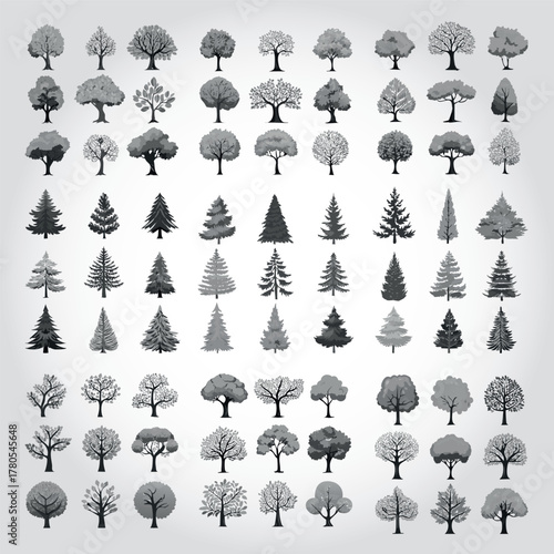 Ensemble de Silhouettes d'Arbres, de Conifères et de Sapins pour Plans de Jardins et Architecture Vus de Profil, Nature et Végétation Couleur Nuances de Gris Vecteur
