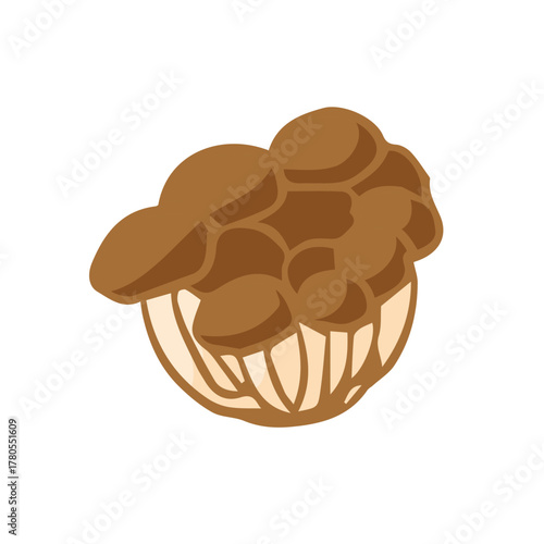 しめじイラスト手描きのかんたんシンプルな食品_輪郭なし