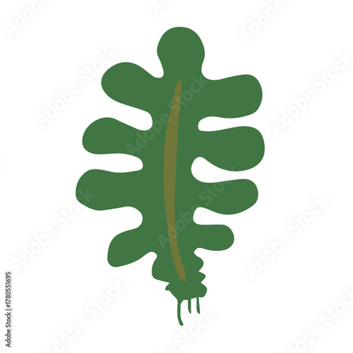 わかめイラスト手描きのかんたんシンプルな食品_輪郭なし