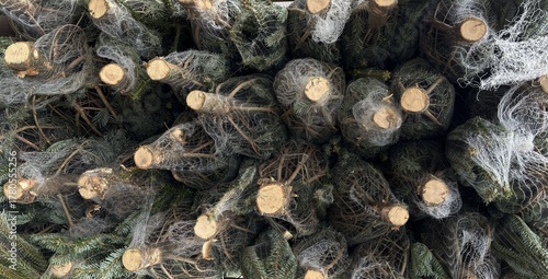 Wallpaper Mural Stacked and Netted Christmas Trees Torontodigital.ca