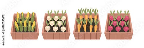 Farmer product display. Farmer market product. Vegetable in wooden box. Agricultural harvest products