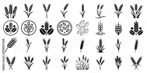 Wheat logo icon set vector, different kinds of Wheat seeds and grain silhouette