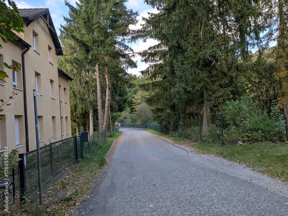 Obraz premium Spaziergang durch das Briesetal in Brandenburg (bei Birkenwerder)