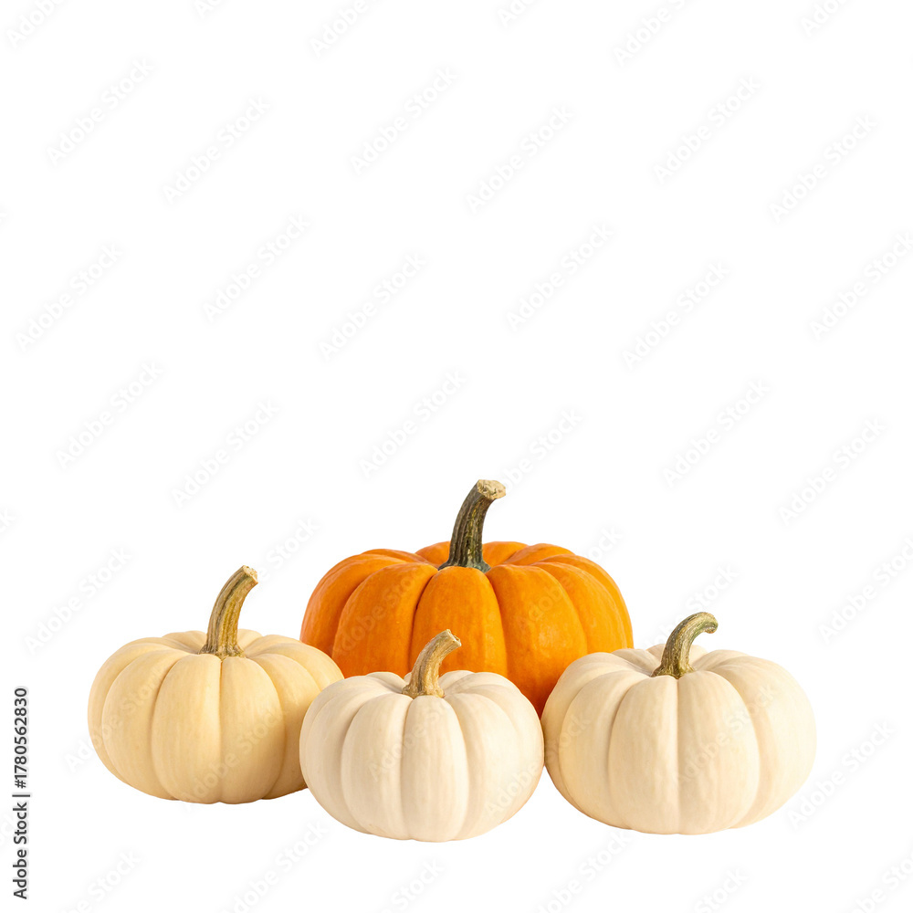 Obraz premium Autumn's Bounty: A vibrant arrangement of various pumpkins, each boasting unique shapes and colors, symbolizes the abundance of the autumn harvest.