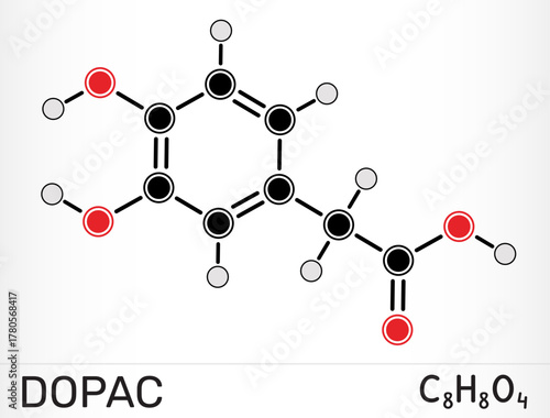 DOPAC molecule 3,4-dihydroxyphenylacetic acid. Dopamine metabolite and catechol compound. Vector illustration