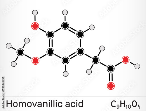 Homovanillic acid, HVA molecule. Dopamine metabolite and catechol compound. Vector illustration