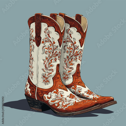 Vector illustration of a pair of cowboy boots