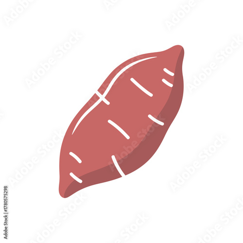Vector illustration of whole sweet potato root vegetable