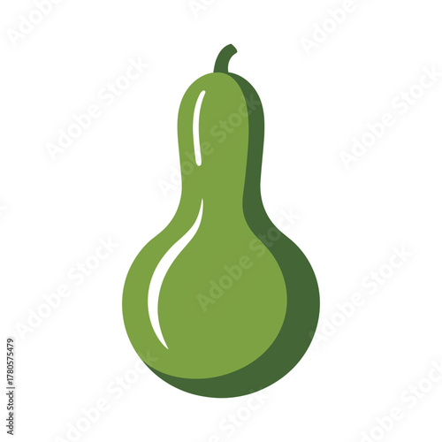 Vector illustration of green bottle gourd vegetable