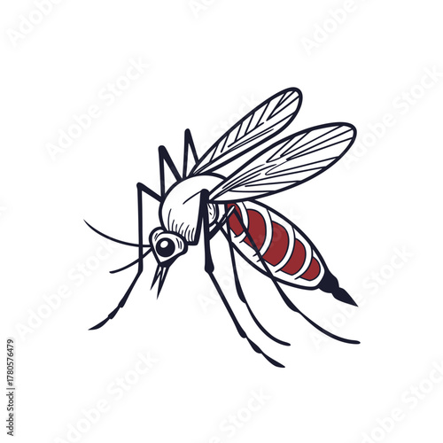 mosquito engraving vector illustration