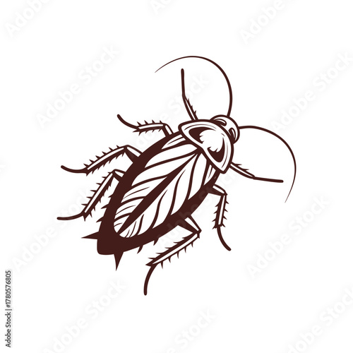 Vector of Cockroach On White Background isolated 
