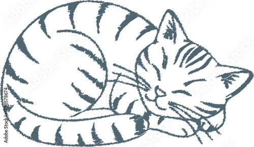 Photography Sleeping curled cat line art