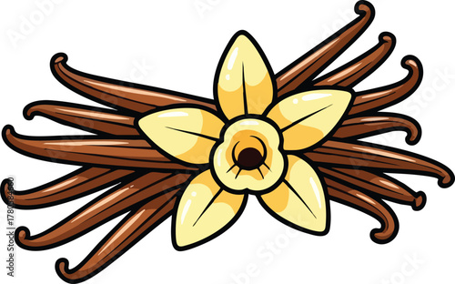 Vanilla Bean Flower And Pods Artistic Illustration