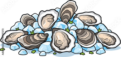 Collection of Fresh Oysters on Ice with Green Garnishes