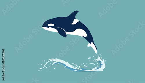Illustration of an orca jumping out of turquoise water with a splash