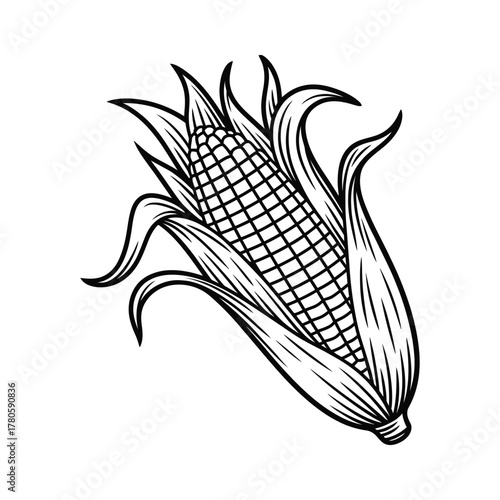 Corn on the Cob Line Art: Vector Illustration for Farming, Harvest, and Summer Food