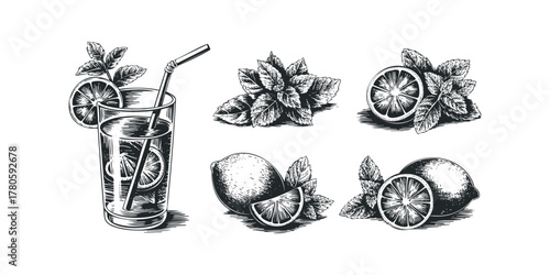 Refreshing citrus drink with mint and lemon slices