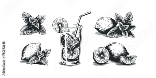 Drink with citrus and mint leaves