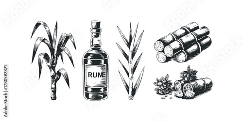 Sugarcane plant, rum bottle, and harvested stalks