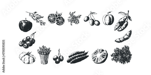 Hand Drawn Fruit and Vegetable Border Sketch