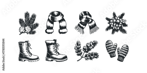 Winter Clothing and Pine Branch Collection Hand Drawn Graphics