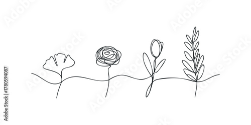 Four distinct floral and foliage elements drawn with single continuous line