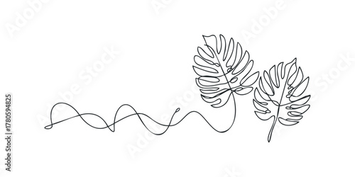 Minimalist Line Drawing Monstera Leaves and Swirl