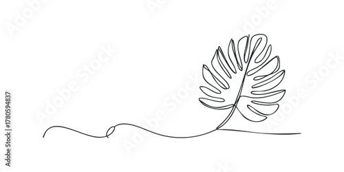 Single line drawing of a monstera leaf with flowing stem