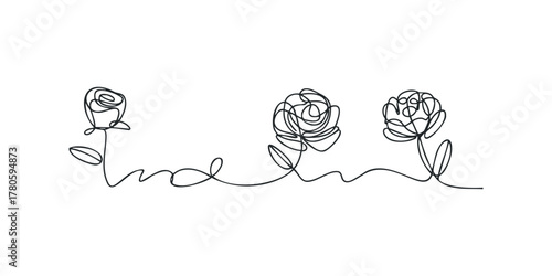 Single line drawing of three roses with stems