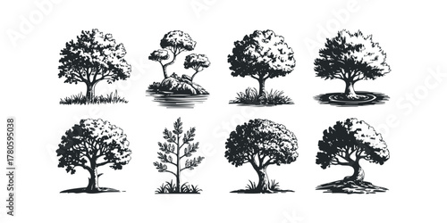 Collection of Eight Stylized Trees in Monochrome Sketch