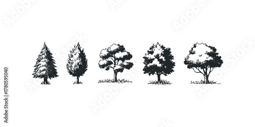 Five Hand Drawn Tree Silhouettes on White Background